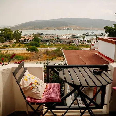 Homestay Parva Port *