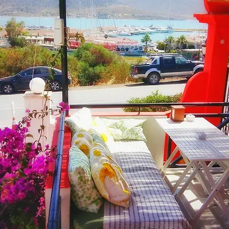 Homestay Parva Port