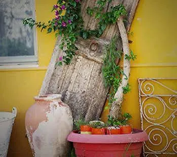 Parva Port Homestay