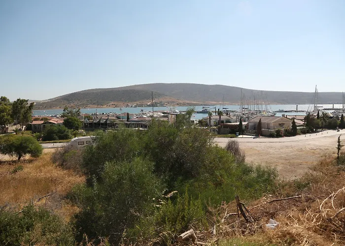 홈스테이 Parva Port 알라카티