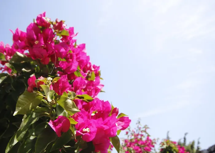 Parva Port 홈스테이